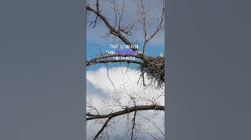 When You trust in God #christainshorts #shortsvideo #reels #life#truth #godofabraham #jesusfreak