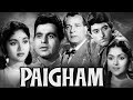 Paigham Full Movie HD | Dilip Kumar Old Movie | Vyjayanthimala | Raaj Kumar |Old Classic Hindi Movie