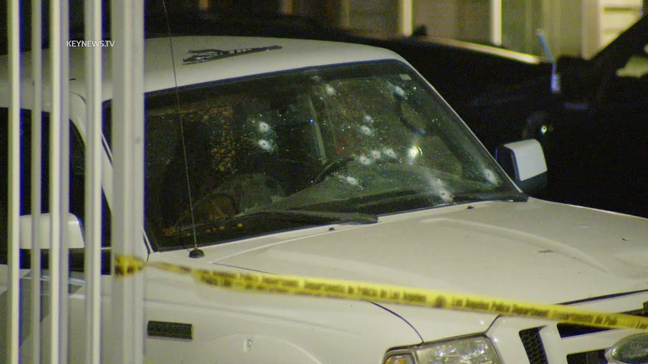 Man Found Shot to Death Inside Vehicle in South Los Angeles ...