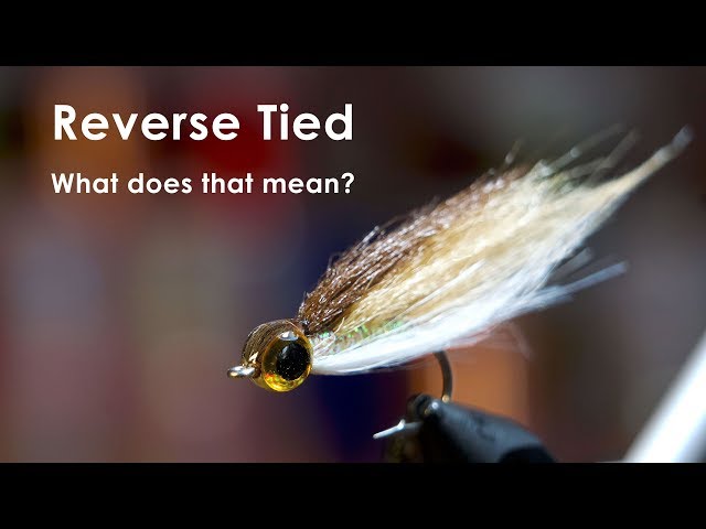 Fly Tying: Why Is My Baitfish Pattern Swimming Wrong? - Flymen Fishing  Company