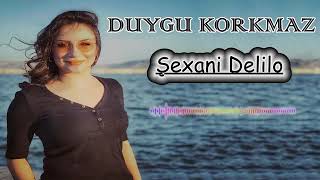 Duygu.korkmaz  Şexani Delilo 2019❤❤❤❤❤ Resimi