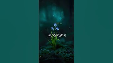 علي جابر                                           سورة الحشر (القران_الكريم) #الحمدلله