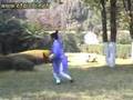 Wudang Taichi Universe ball