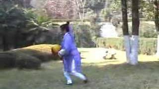 Wudang Taichi Universe ball