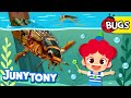 Aquatic Bugs | Cutie-crawly Friends! | 🐛Bug Song | Insect Songs for Kids | JunyTony