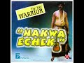 Dr. Sir Warrior - Onye Huru Chim Anya (Official Audio)