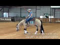 2017 Gelding by Whiz N Starlight