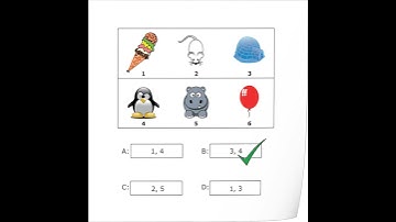 WISC-V Test Preparation Book