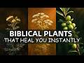 20 Biblical Plants That Will Heal You Instantly