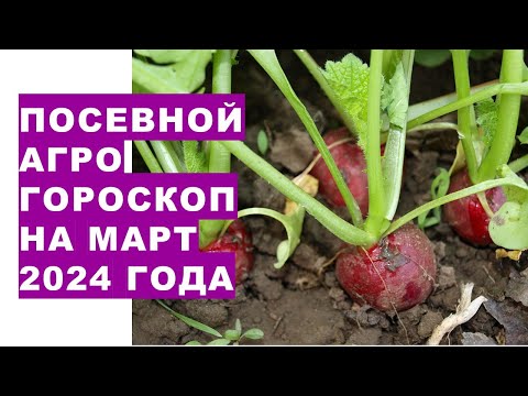 Посевной агрогороскоп на март 2024 года Sowing agrohoroscope for March 2024