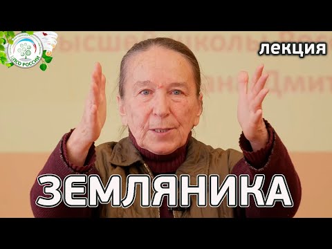 Видео: Уход за бесплодными растениями клубники - Как вырастить бесплодную почвопокровную клубнику