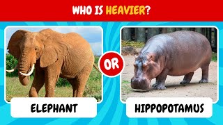 Which animal is heavier   animal quiz, game   general knowledge test