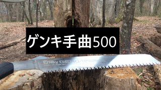 樹洞に入れた立ち枯れ丸太をゲンキ手曲500で十字に挽く [テント泊]