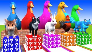 5 Giant Duck, Monkey, Piglet, lion, cow, dog, chicken, cat, Sheep, Transfiguration funny animal 2024