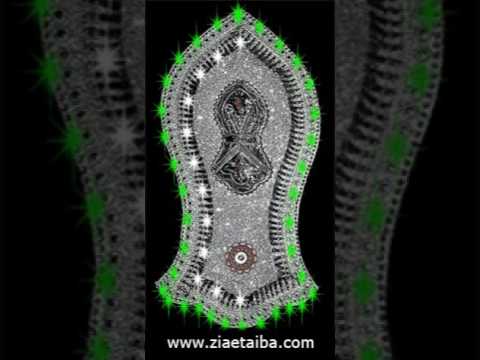 Rabi Ul Awal Ka Chand Bot Bot Mubrak.