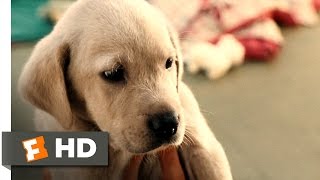 Marley & Me (1/5) Movie CLIP  Clearance Puppy (2008) HD