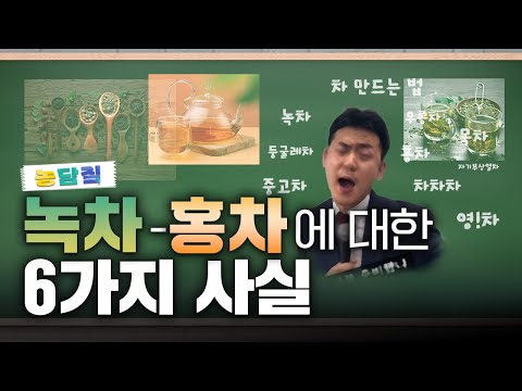 (구독자 이벤트 있음!) 한국인은 잘 모르는 녹차와 홍차의 차이점?? | 농담짚
