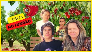 COLHENDO CEREJA NO FUNDÃO - PORTUGAL - Família Amarela