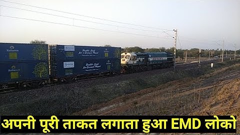 Dwarf double container train | trains | wdfc | dfc | dfccil | Indian railways | wdfc update | viral