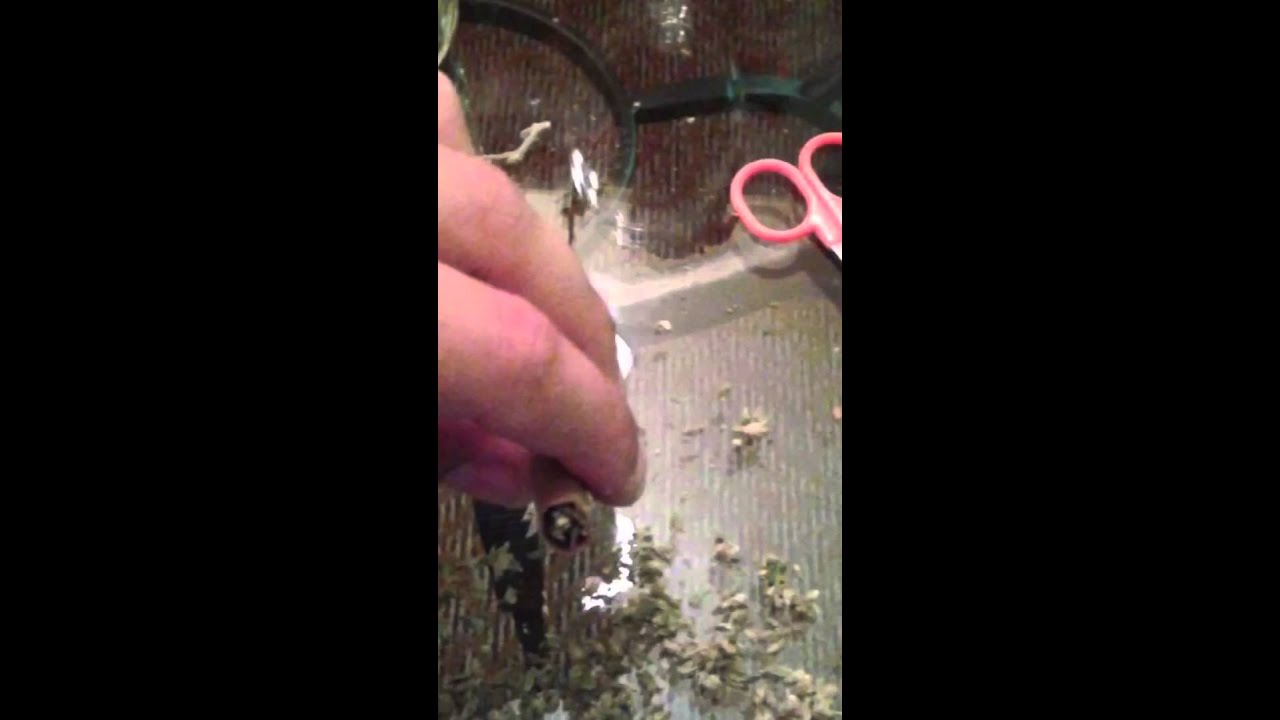 Richie Rich feat. Tokes - Sunday mornin blunt times