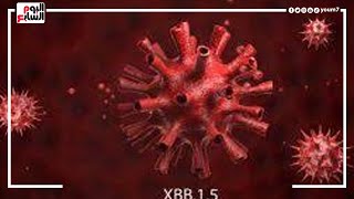 متحور لكورونا جديد شديد العدوى .. أبرز المعلومات عن فيروس “XBB.1.5” وأعراضه