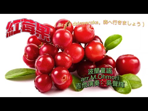 紅莓果( Szła dzieweczka，森へ行きましょう ) 吉他演奏