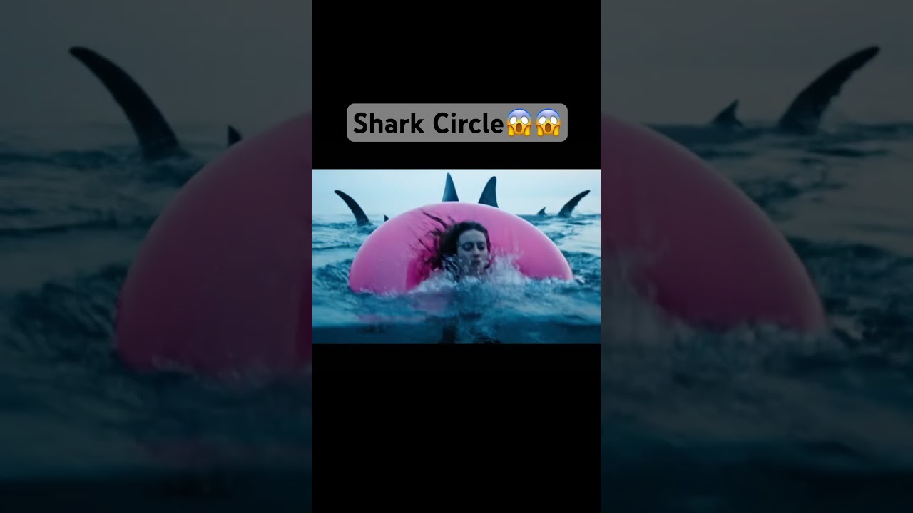 Shark circle😱😱. 