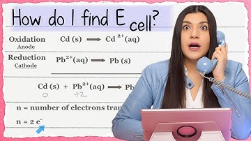 How to Find the Cell Potential Step by Step Explanation - TUTOR HOTLINE