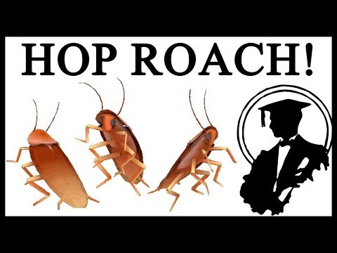 origins-of-the-dancing-cockroach-meme