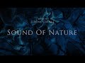 Sound Of Nature - Jerome Graille