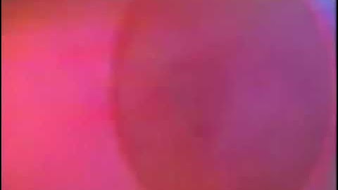 PBS 1993 logo Fast, Slow and Reverse