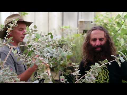 Costa Georgiadis chats with nursery staff at the Ian Potter National Conservatory