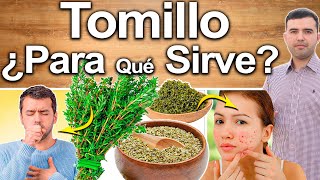 Tomillo - Para Qué Sirve? - Beneficios Del Tomillo Para Tu Salud Y Belleza