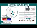 Histone ChiP seq | applications of Histone ChiP seq | Methods in biology