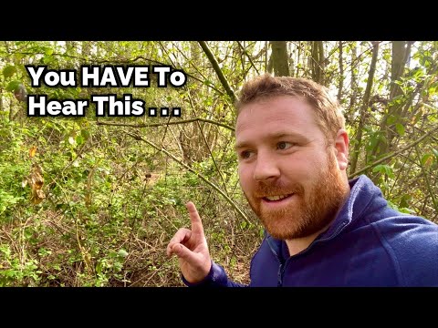 Video: How do nightingales sing and when do they do it?