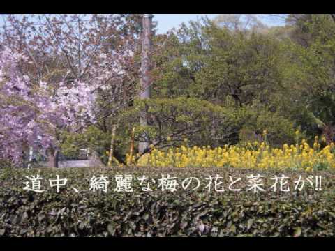 Clannad 聖地巡礼mad In瑞穂町 Youtube