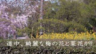 聖地巡礼 Clannad Anime Tourism