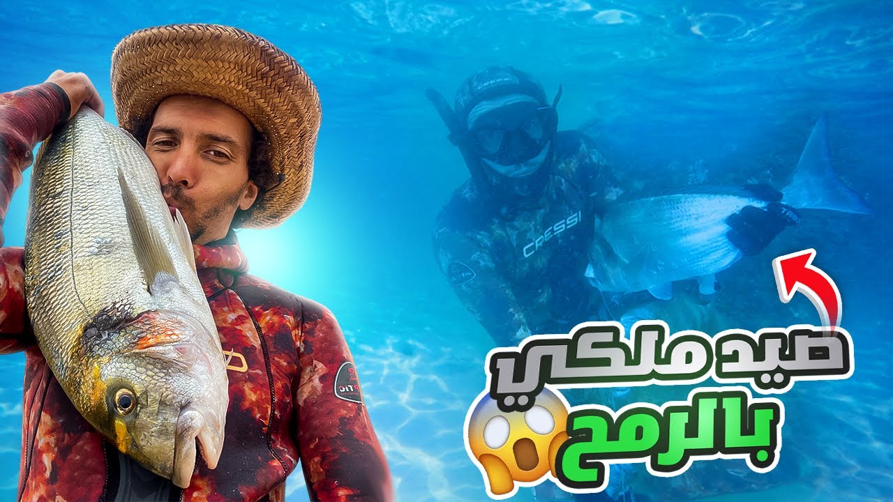 Пещера и испытание: ловля самых дорогих видов рыб с помощью фридайвинга 🤿 в Марокко, подводная ох...