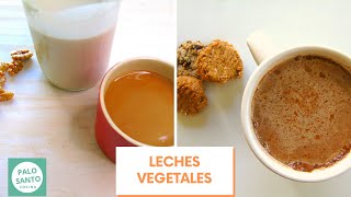 3 LECHES VEGETALES Fáciles | Bebidas Vegetales