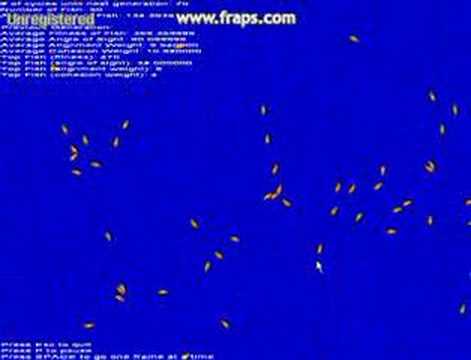 Fish School pt 1 of 2
