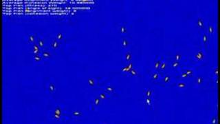 Fish School pt 1 of 2