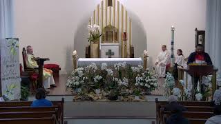 II Sunday of Easter ( Divine Mercy)