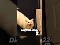 The Most Legendary Cat Memes (then vs now) #shorts
