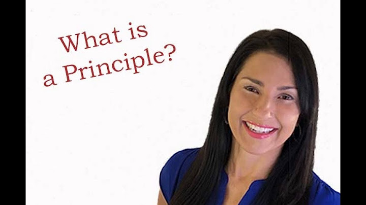 What is a Principle?