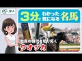 【3分でわかる】ウオッカ・牝馬の時代を切り拓く | JRA公式
