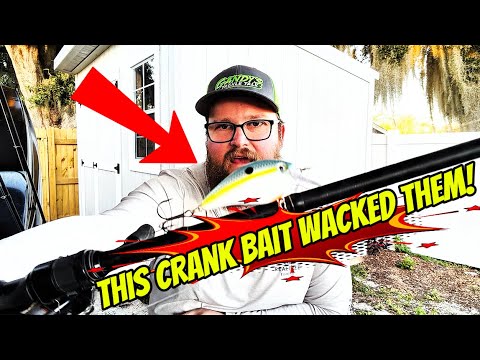 Fall bass fishing(Tournament rundown)