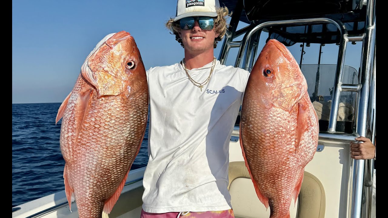 Massive Snapper In The Gulf! - YouTube