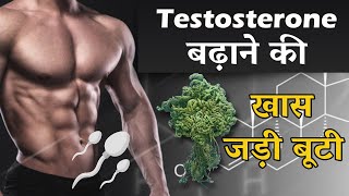 Testosterone बढ़ाने के घरेलू उपाय Ph 92196-32232