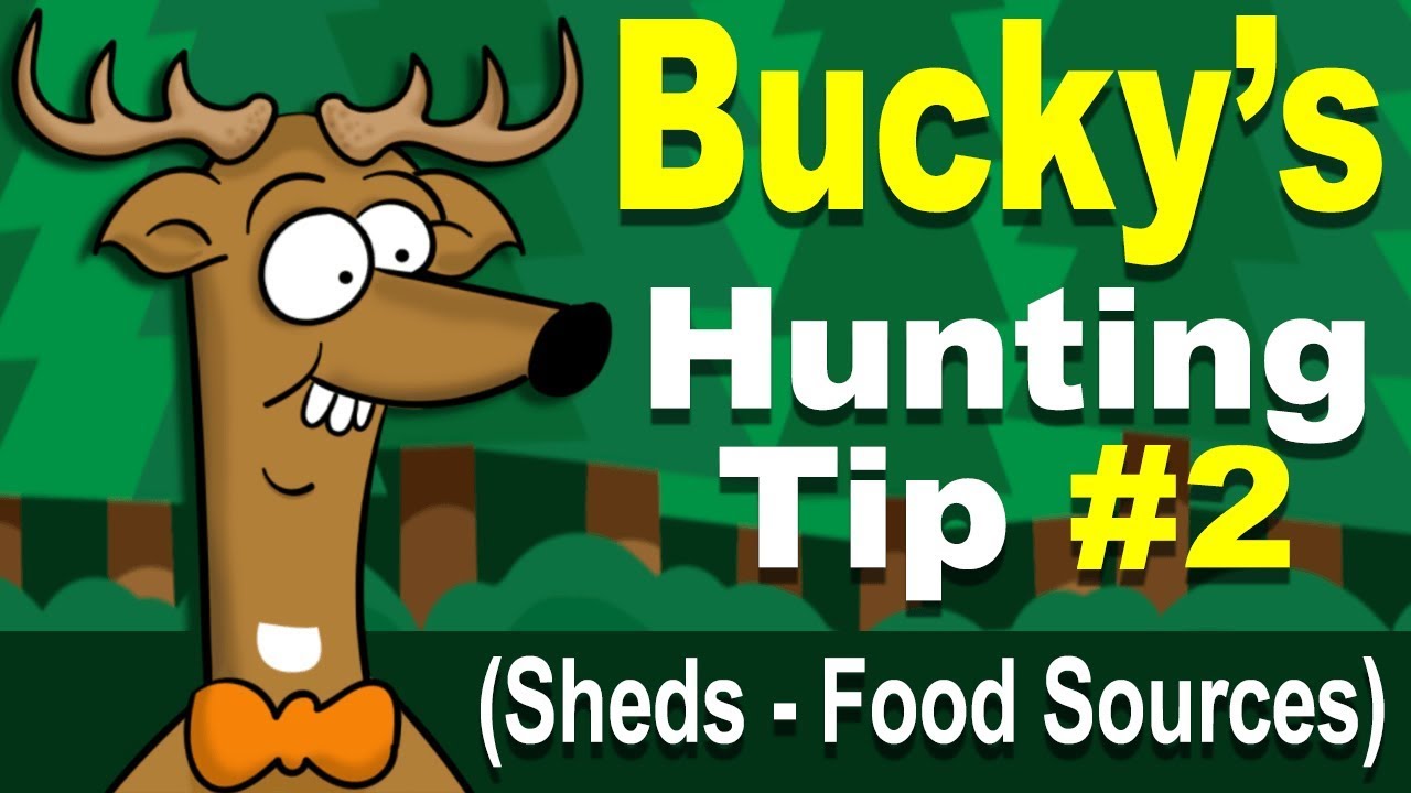 Bucky's Whitetail Deer Hunting Tip #2 - shed hunting, feeding areas
