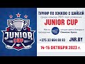 14.10.2023. JC. 2015. М10. Pro Hockey - ШРС-16-1